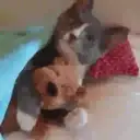 스티커