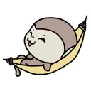 Adhesiu