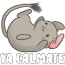 Stiker