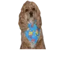 Naklejka
