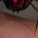 Pelekat
