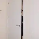 استیکر