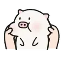 贴纸