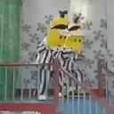 贴纸