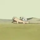 Կպչուն պիտակ
