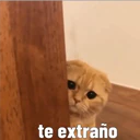 Nhãn dán