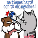 Stiker