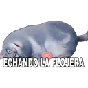 Samolepka