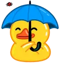 Adhesiu