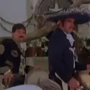 贴纸