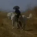 贴纸