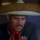 贴纸