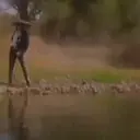 贴纸