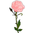 স্টিকার